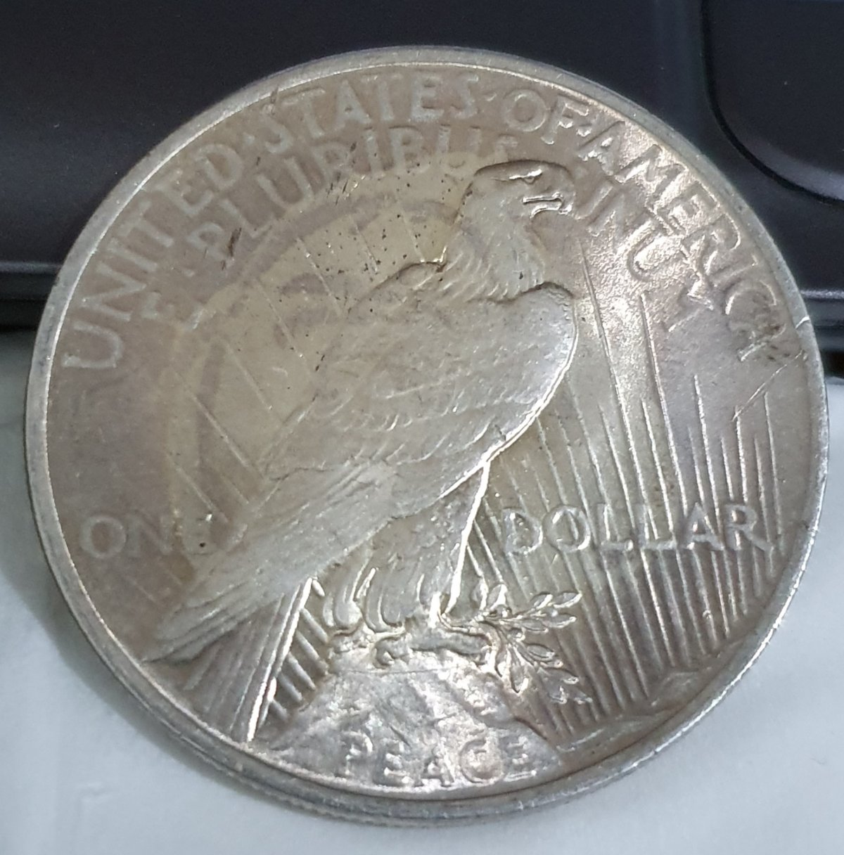 Strange-Feature-On-Reverse-Of-1922-Peace-Dollar?